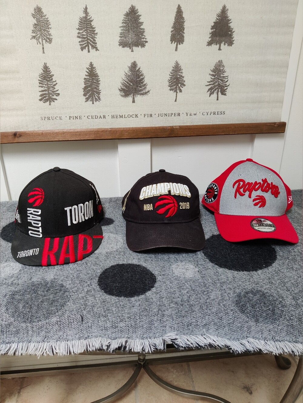 Toronto Raptors Hat Bundle New Era 9FIFTY 39THIRTY 9TWENTY Championship